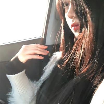 完美的主人